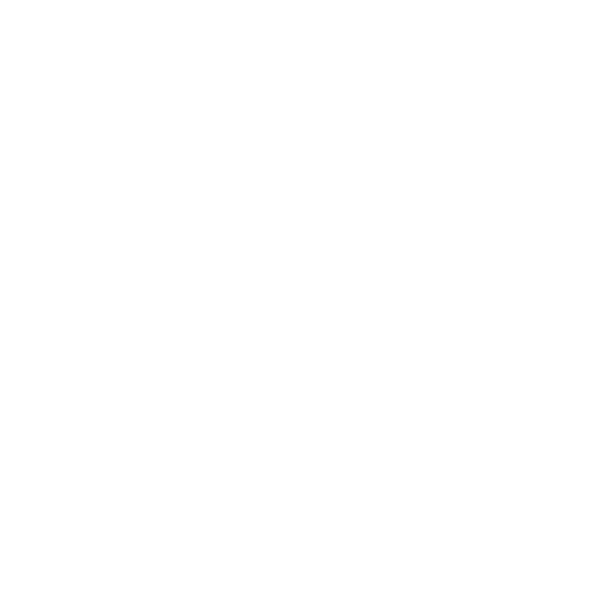SBR_Projektpartner_#2