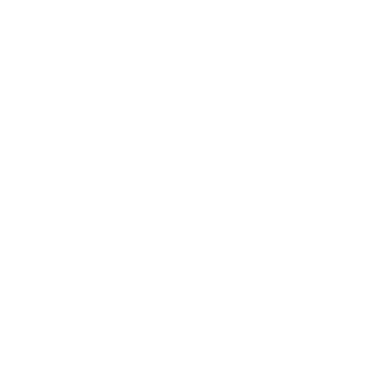 SBR_Projektpartner_#3