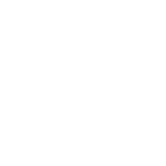 SBR_Projektpartner_#5