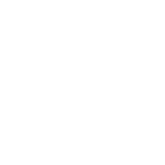 SBR_Projektpartner_general